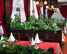 Croatia, Dugi Rat, Tavern Bracera